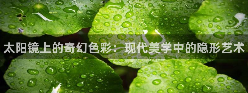 卧龙娱乐招商代理怎么样