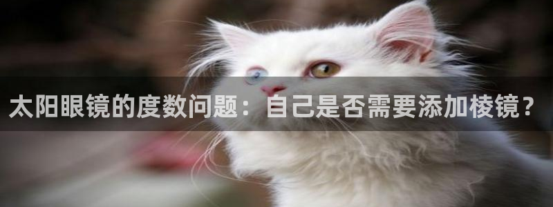 卧龙凤雏娱乐版