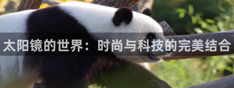 卧龙娱乐在线直播观看