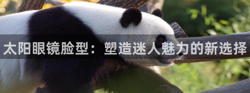 卧龙娱乐过山车