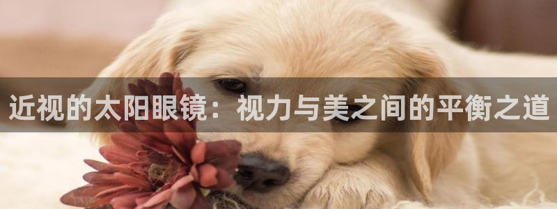 卧龙娱乐能出款吗