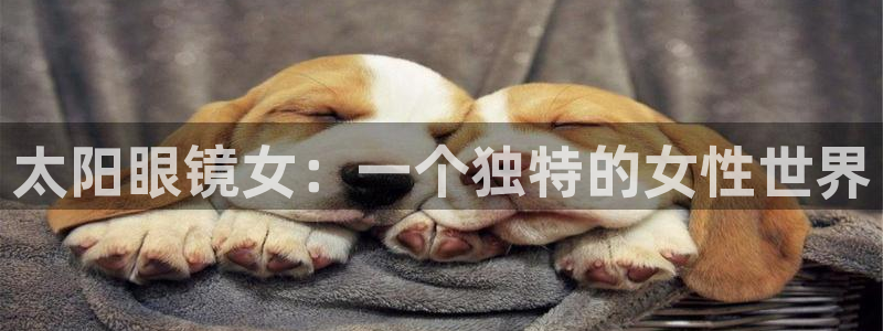 卧龙区微微娱乐商城