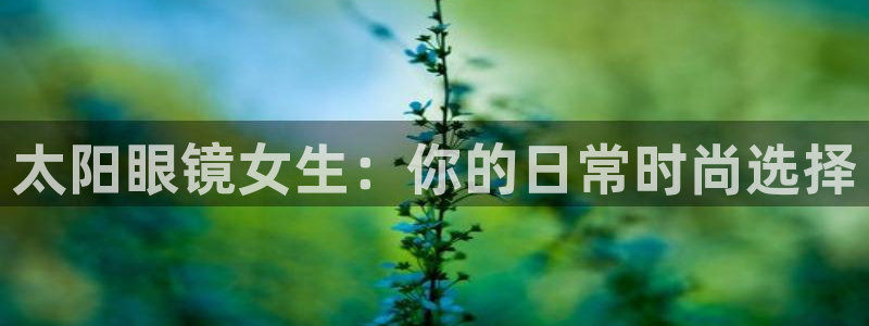 卧龙娱乐总管是谁