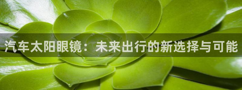 卧龙娱乐场所
