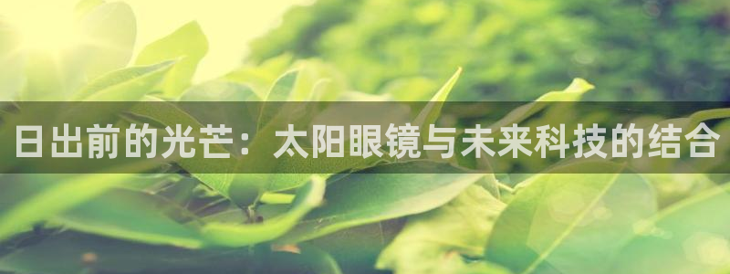 卧龙娱乐招商主管工资