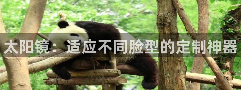 卧龙岗娱乐馆