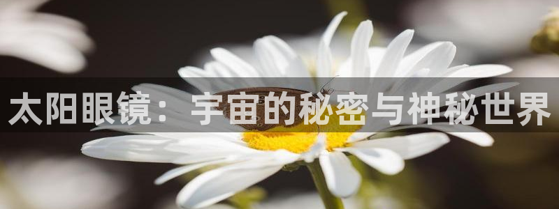 卧龙凤锄娱乐演员