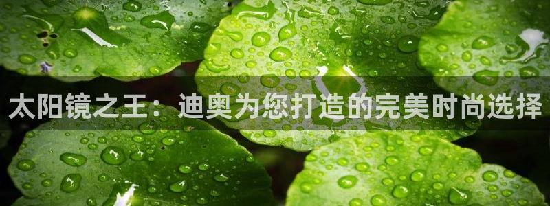 卧龙娱乐32二九01