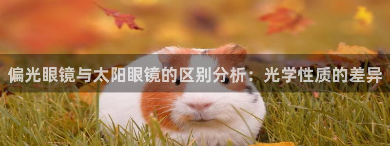 hr娱乐 卧龙股东60447