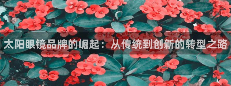 卧龙谷娱乐