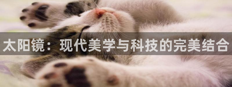 卧龙娱乐招商