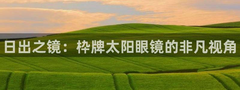 卧龙娱乐招商