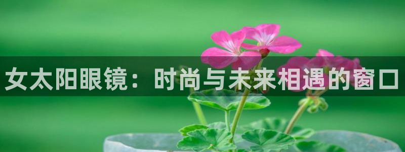 卧龙游乐娱乐设备