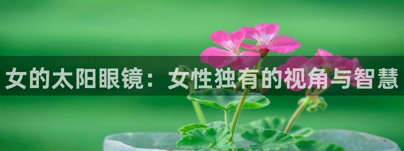 卧龙凤雏娱乐减肥