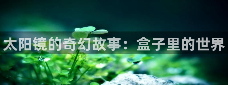 娱乐小卧龙