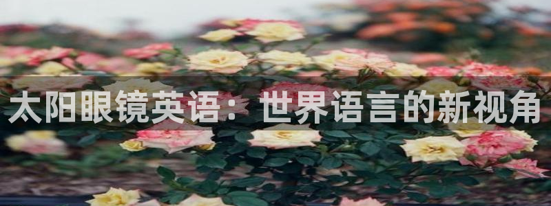卧龙休闲娱乐优惠活动