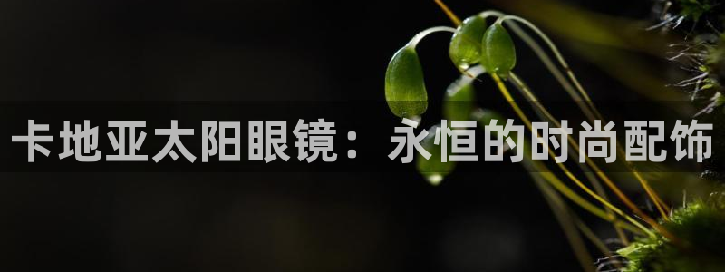 娱乐卧龙