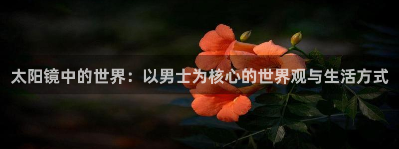 卧龙镇休闲娱乐