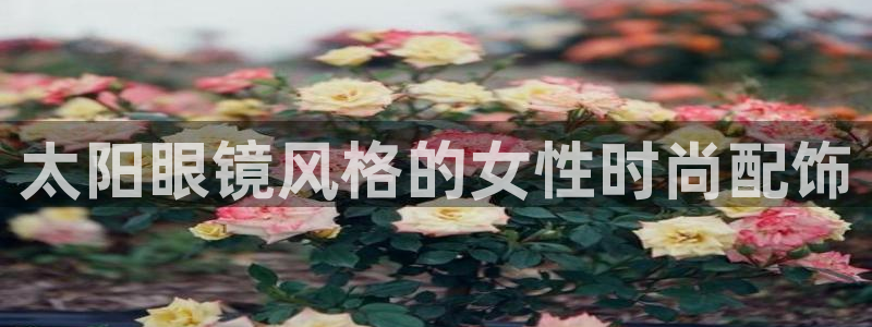 hr娱乐 扣卧龙60447
