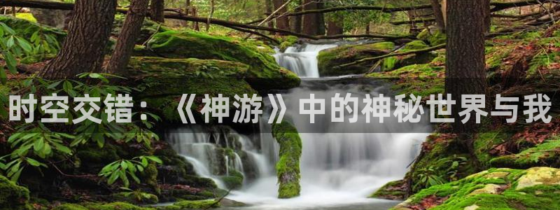 卧龙娱乐若七九九