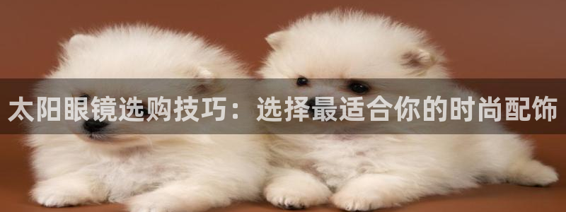 卧龙娱乐招商代理是谁