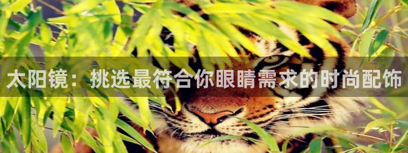 qq娱乐 卧龙招商60447