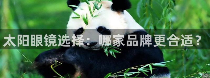 卧龙娱乐计划