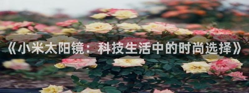 卧龙娱乐滴qv382223
