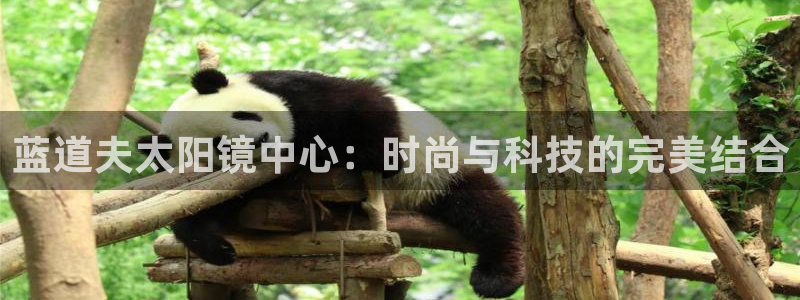 卧龙区娱乐会所