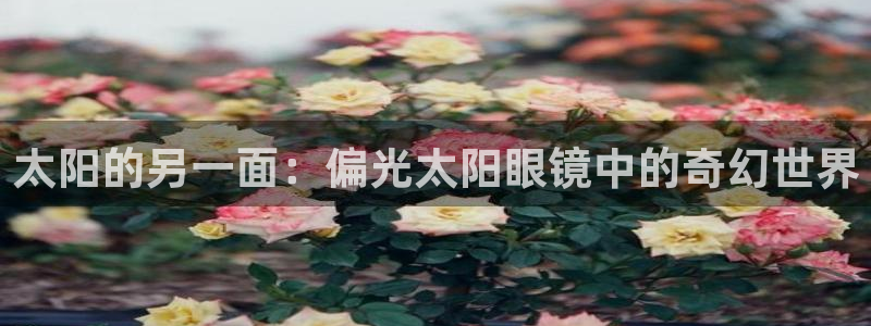 qq娱乐 卧龙主管60447