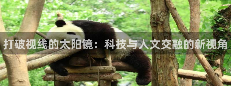 卧龙娱乐招商主管