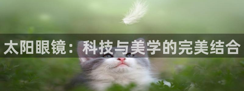 卧龙区娱乐设备