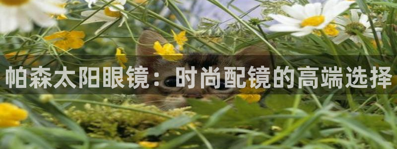 卧龙娱乐在线直播平台