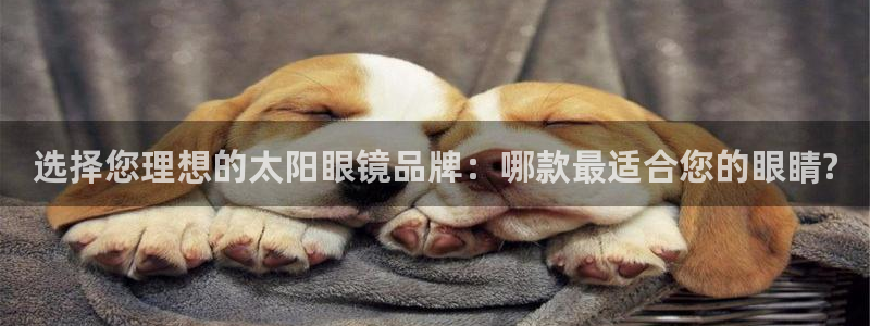 at娱乐 0 47卧龙