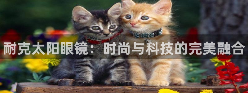 卧龙娱乐地
