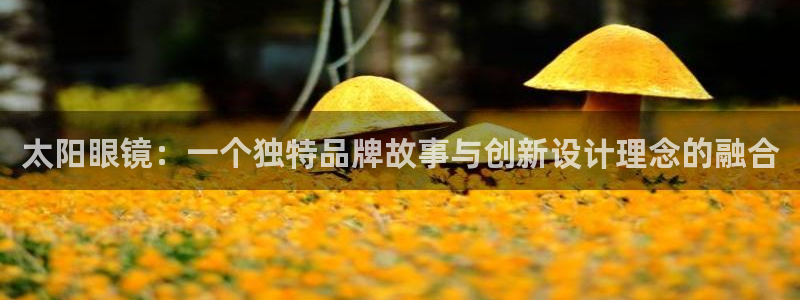 卧龙镇娱乐