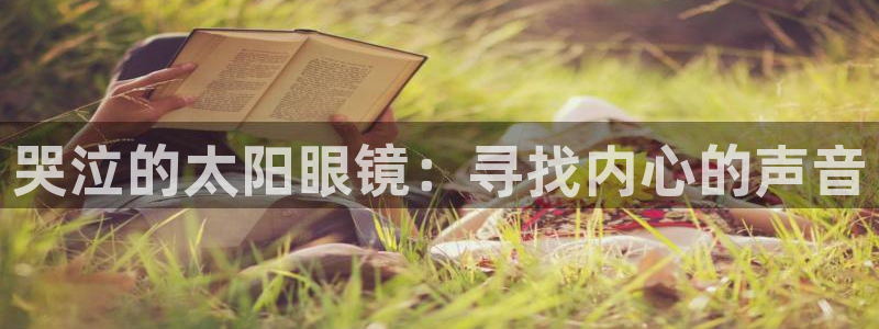 卧龙新款娱乐设备