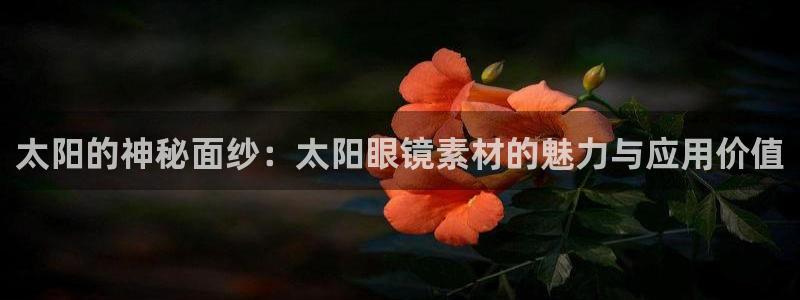 厦门卧龙台球娱乐会所