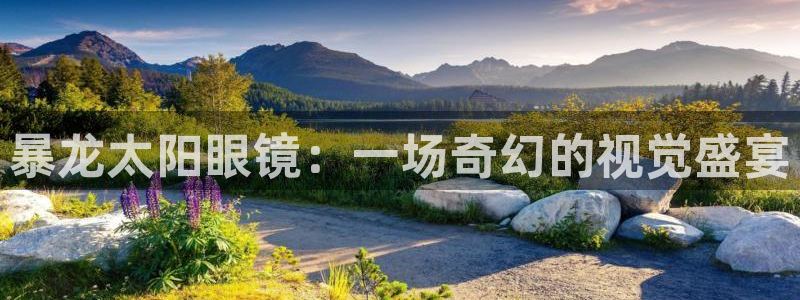 卧龙娱乐招商主管工资