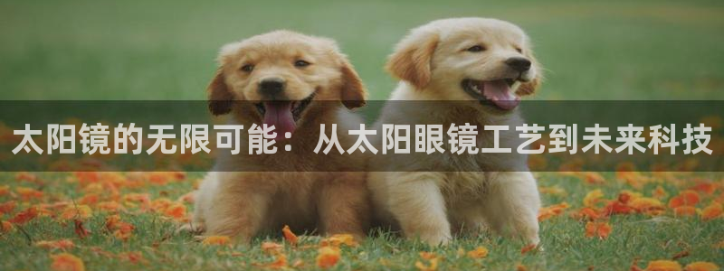 卧龙山娱乐项目