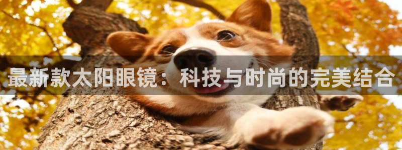 卧龙娱乐主管