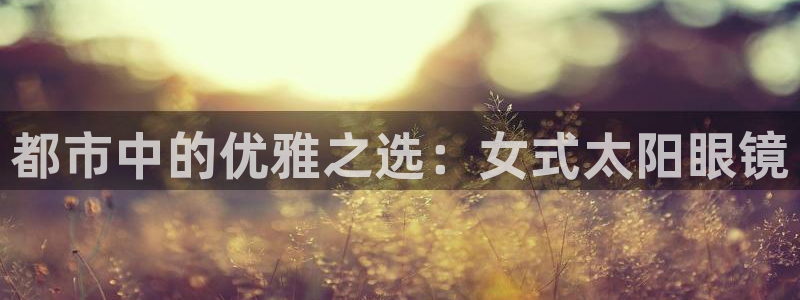 卧龙娱乐挂机软件