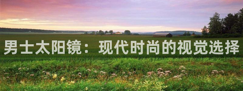 卧龙凤雏娱乐版